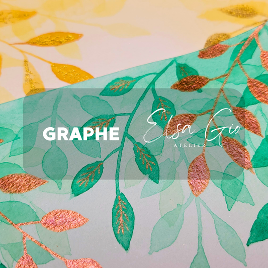 Stage - Transparence le 28.02.2026 - Hirsingue